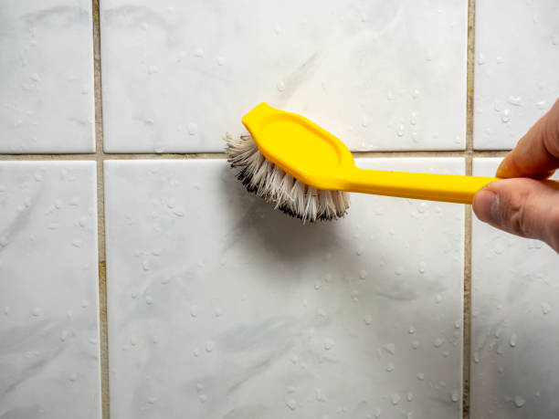 Best Residential Mold Removal  in Cutlerville, MI